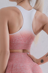 Zenith Tone Sports Bra and Leggings Combo | 3 Colors